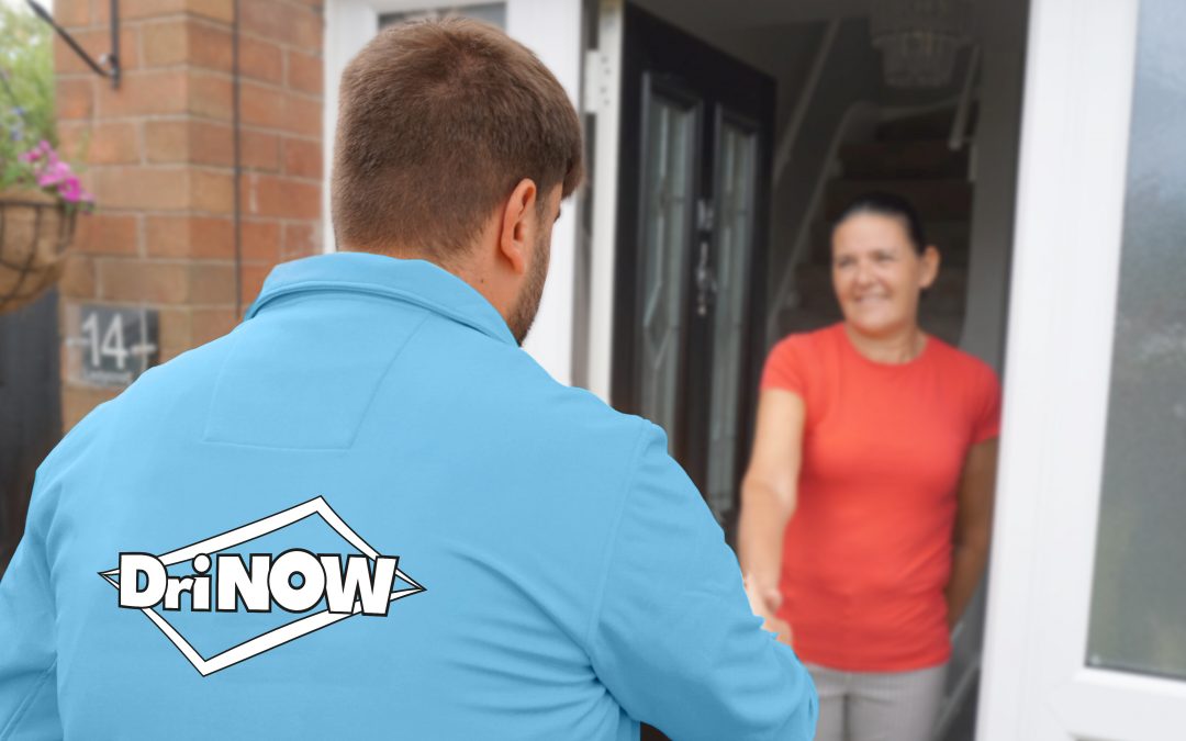 Over 1000 verified carpet cleaning reviews