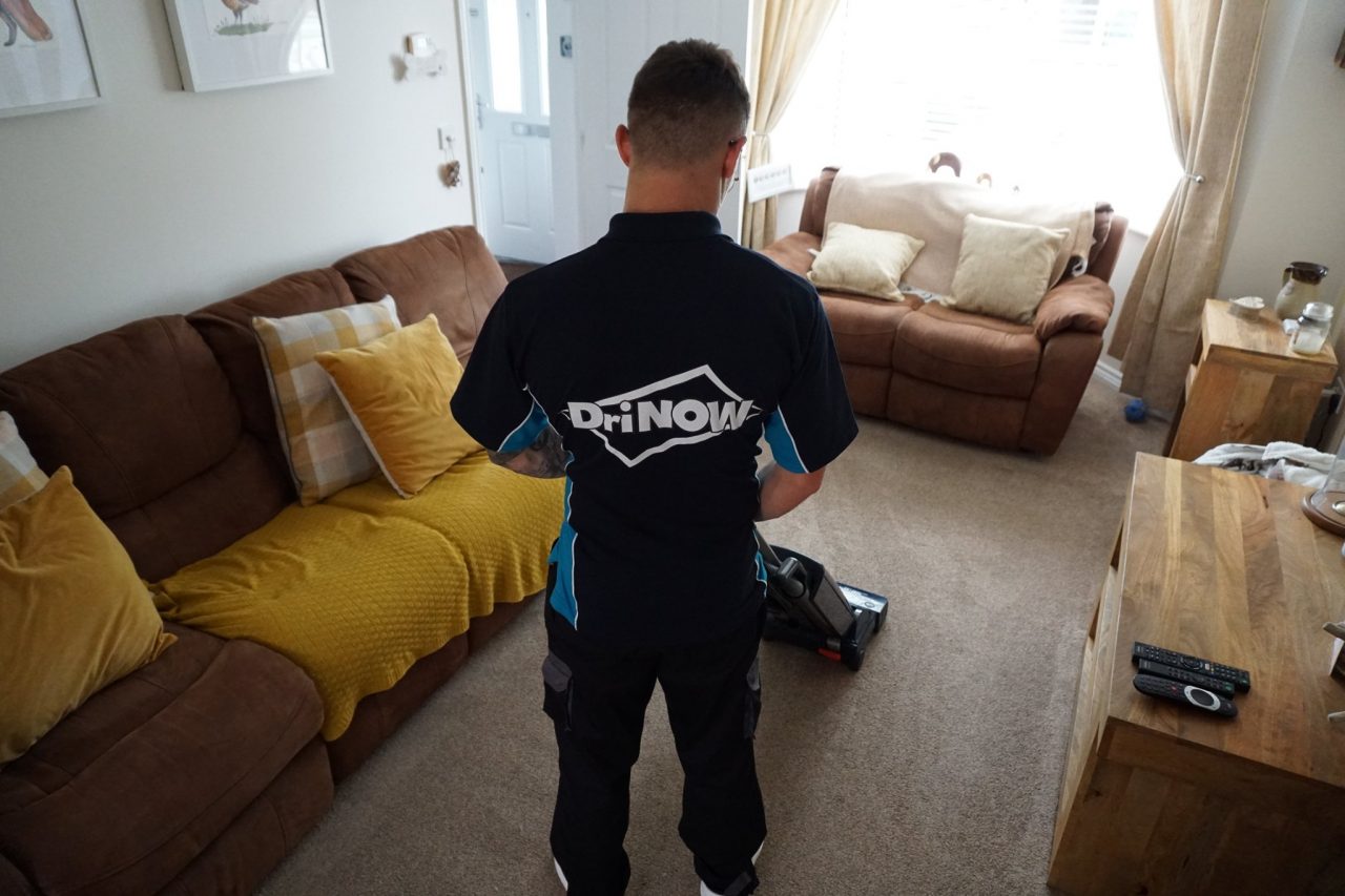 Carpet Cleaning Telford Dri Now Carpet Cleaning