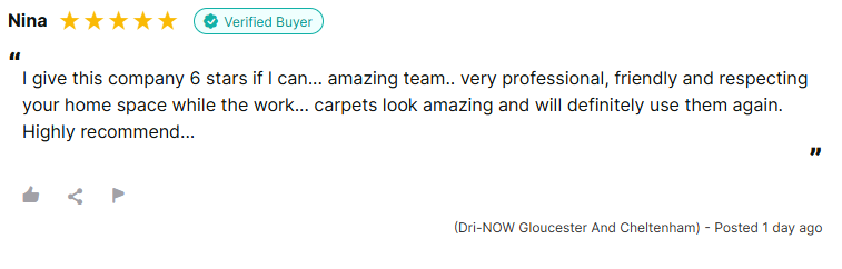 Carpet cleaning reviews for Dri-Now